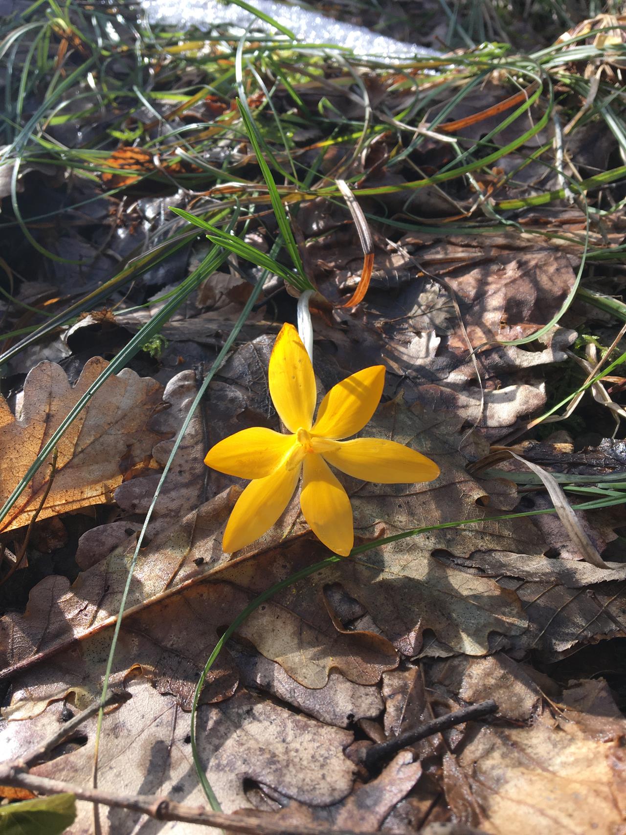 ekşi sözlük - kutsal bilgi kaynağı