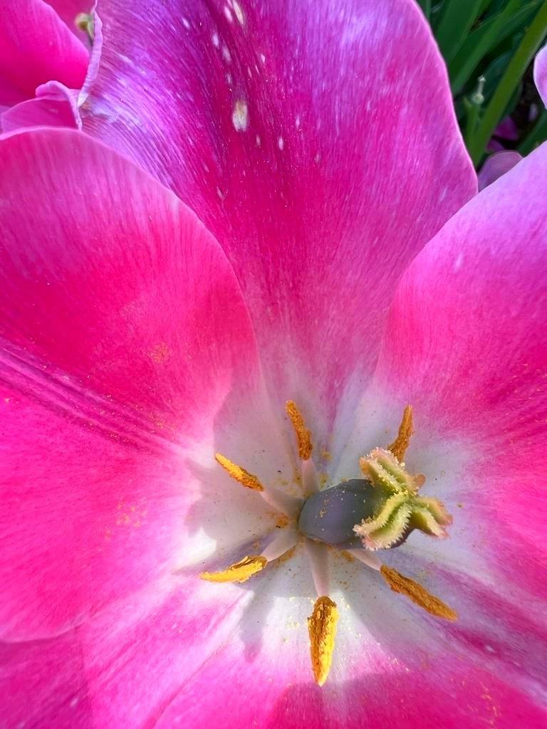 ek-i-s-zl-k-kutsal-bilgi-kayna