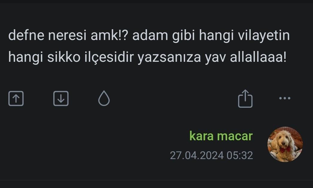 https://cdn.eksisozluk.com/2024/4/27/1/1hxaizz7.jpg
