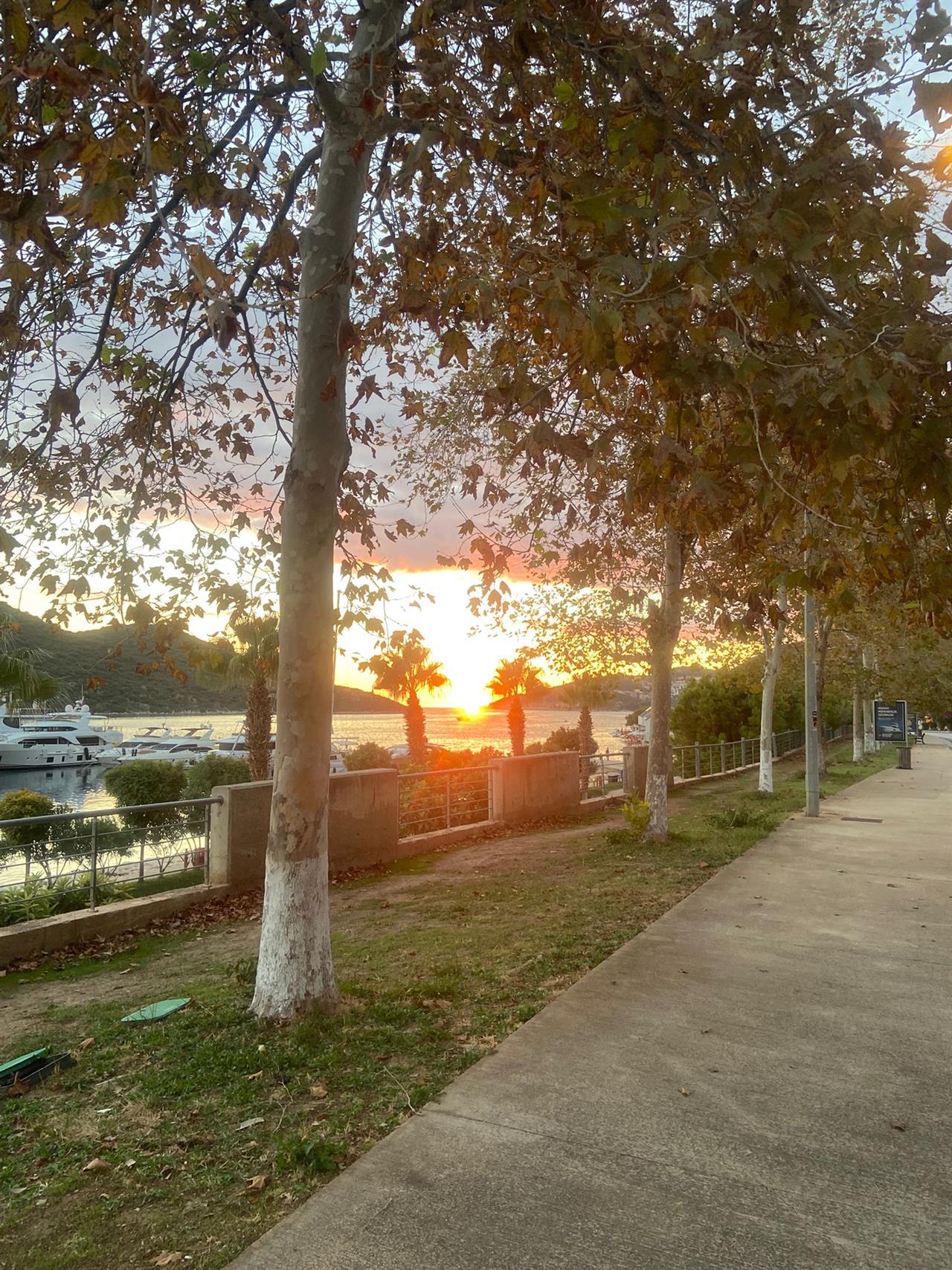 https://cdn.eksisozluk.com/2025/10/14/o/onnugzia.jpg