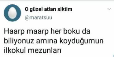 https://cdn.eksisozluk.com/2025/4/11/g/gby2s2xz.jpg