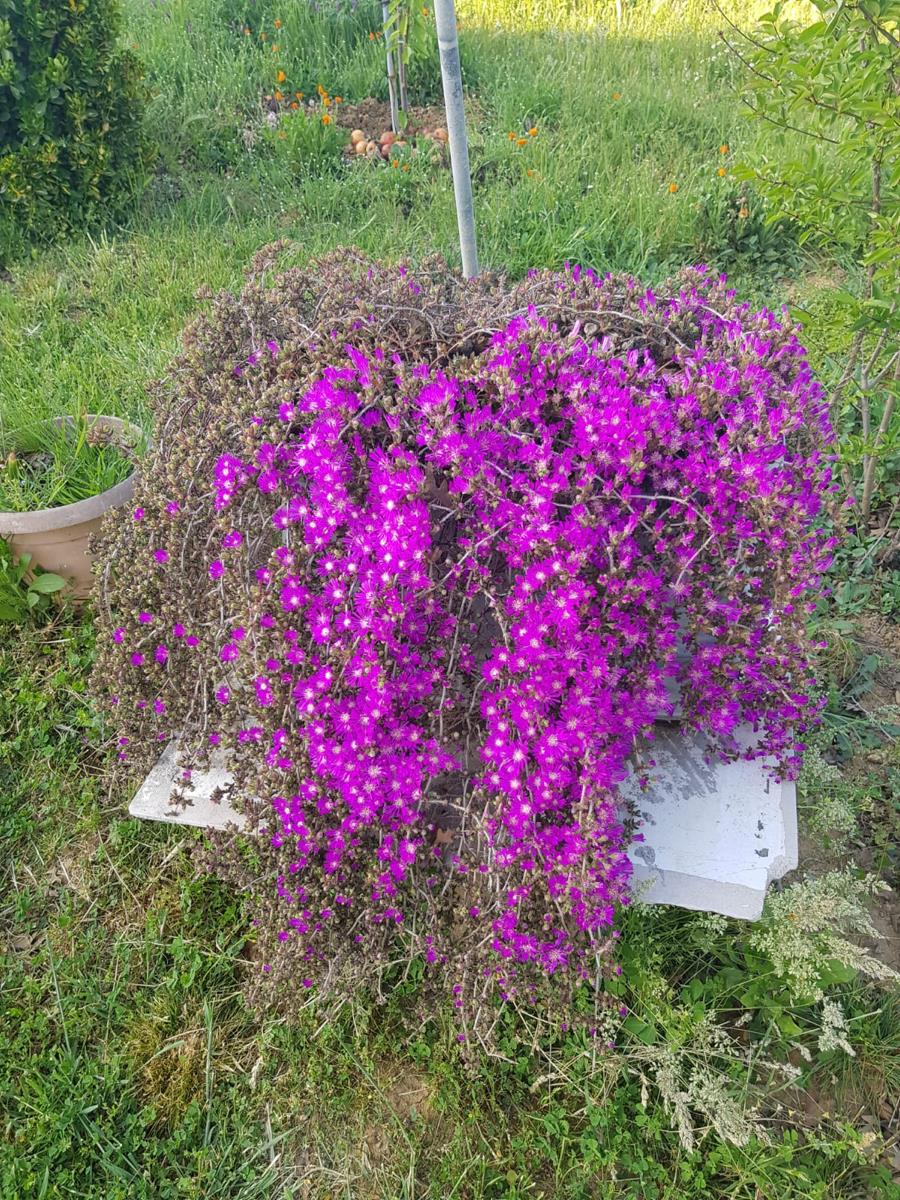 Ek i S zl k Kutsal Bilgi Kayna ek-i-s-zl-k-kutsal-bilgi-kayna