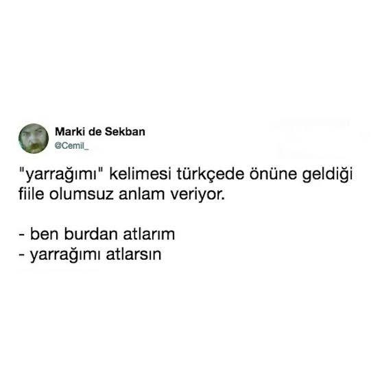 https://cdn.eksisozluk.com/2025/4/8/l/lkp24rwz.jpg