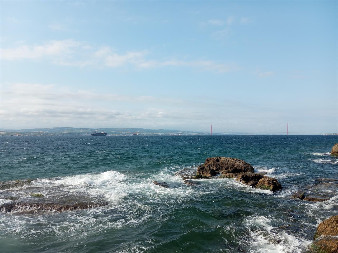 Image for Entry ID 176216127