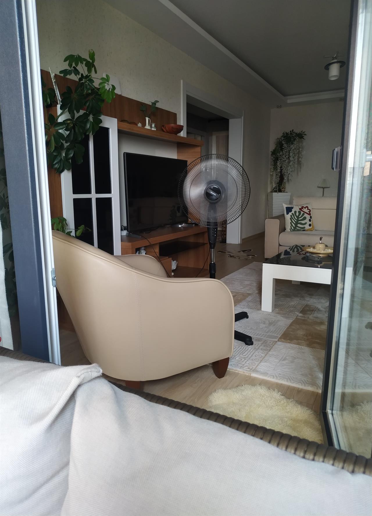 Image for Entry ID 176898753