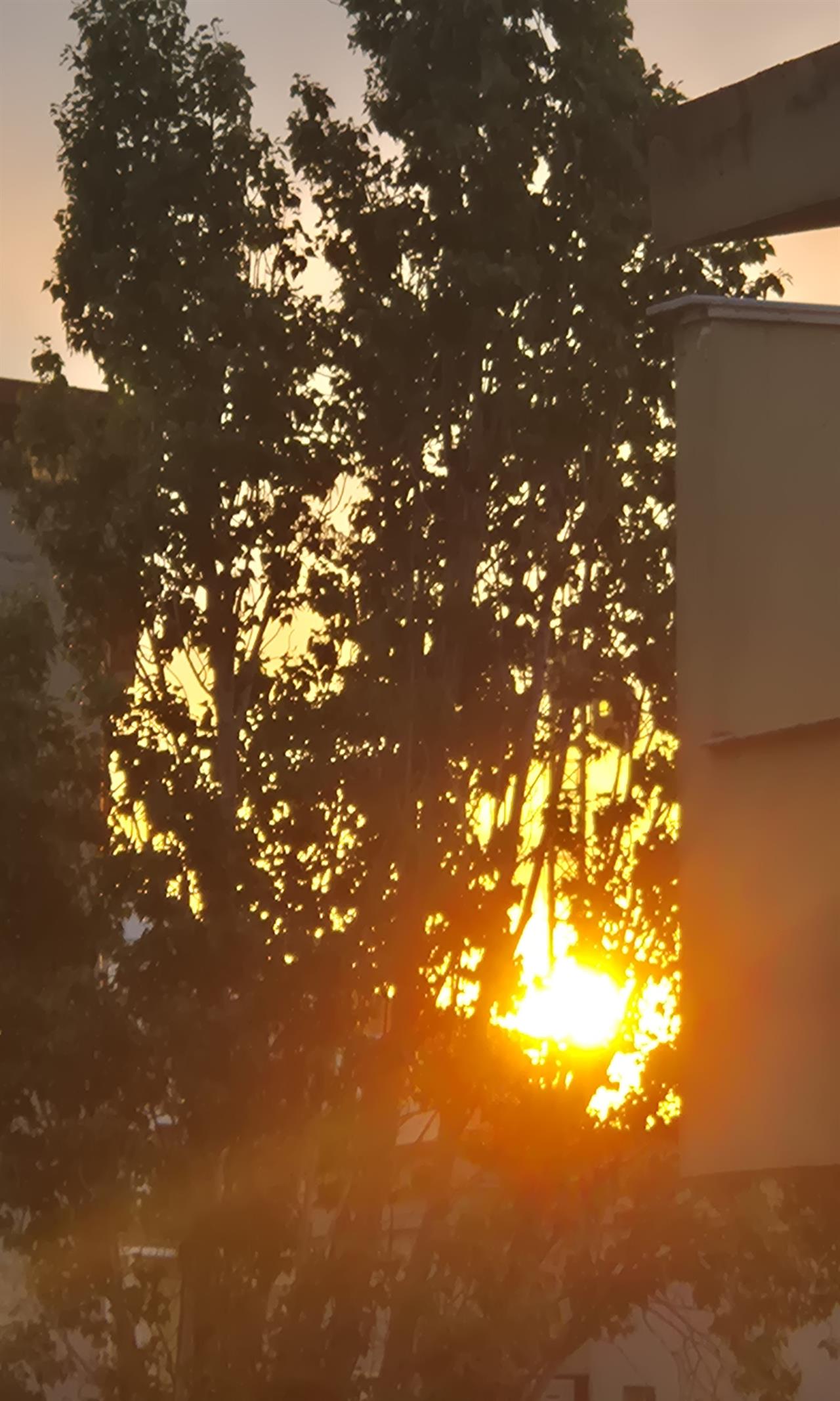 Image for Entry ID 176616863