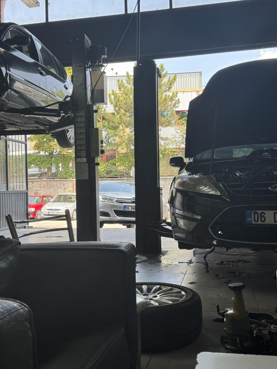 Image for Entry ID 177431170