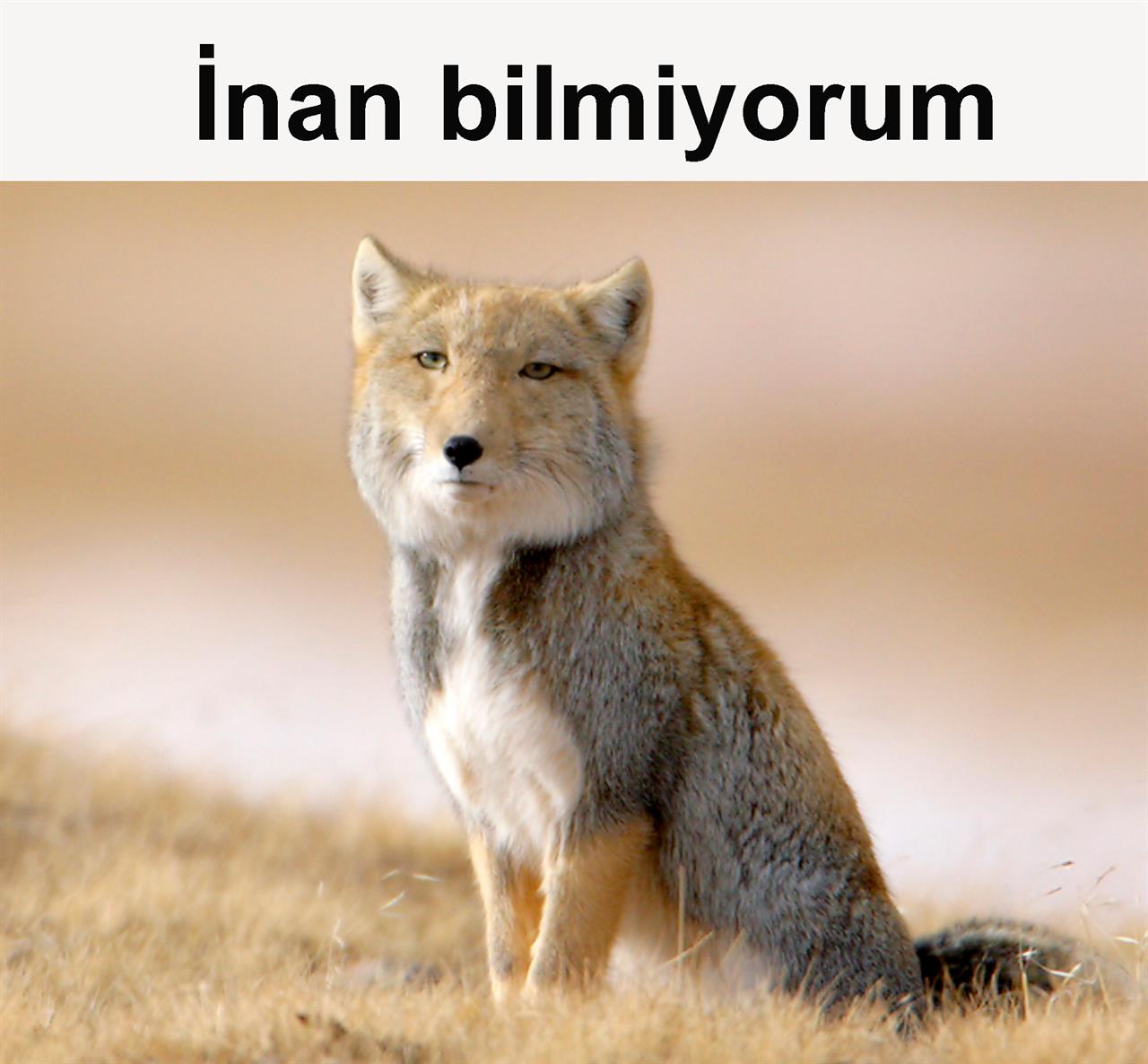 https://cdn.eksisozluk.com/2025/9/16/7/7bpbb3nu.jpg